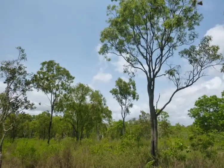 Main view of Homely land listing, Lot 1 Mount Amos Road, Cooktown QLD 4895