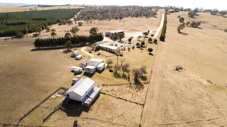 Fifth view of Homely rural property listing, 343 Gunningrach Road, Bombala NSW 2632