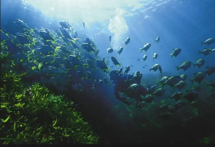 Third view of Homely land listing, Lot 53, 35 Oceanic Way, Jurien Bay WA 6516