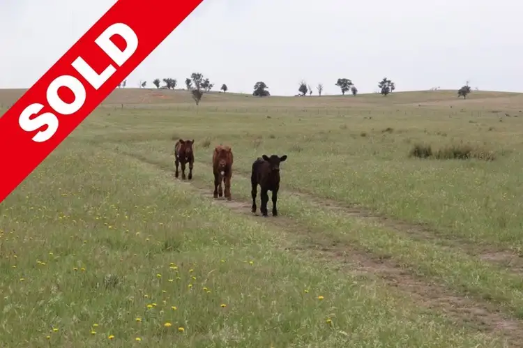 Second view of Homely rural property listing, Mobella Park Wargeila Road, Yass NSW 2582