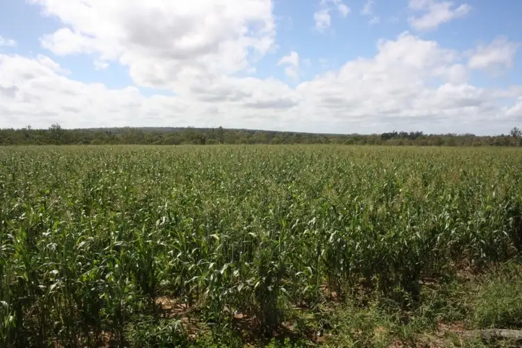 Fourth view of Homely rural property listing, Address available on request