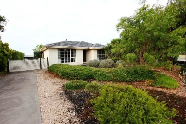 3 Brahman Close
