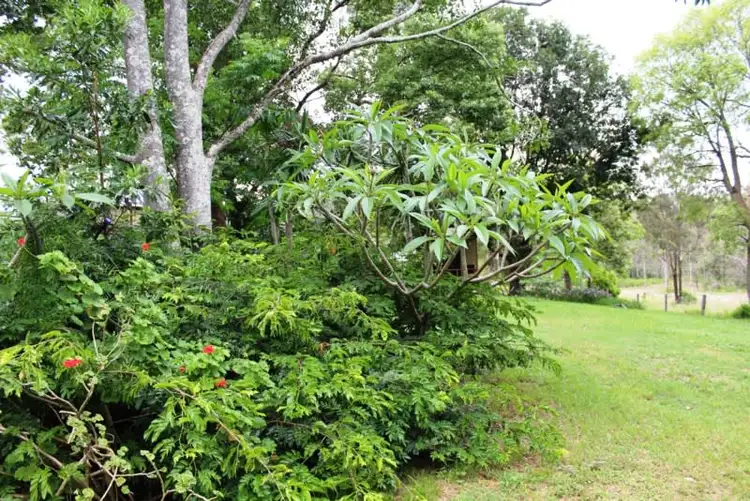 Fifth view of Homely house listing, 26 George Street, Linville QLD 4306