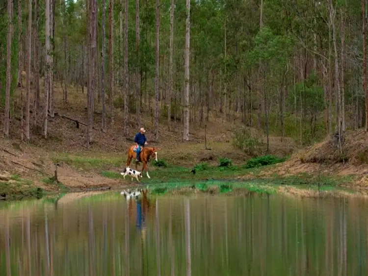 Main view of Homely rural property listing, 569 Mount Flinders Road, Peak Crossing QLD 4306