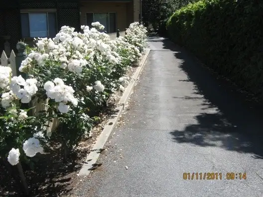 Fourth view of Homely house listing, 12/147 Stephen Terrace, Walkerville SA 5081