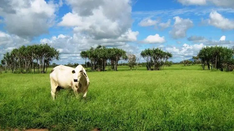 Sixth view of Homely rural property listing, . Rainbow Station, Ayr QLD 4807