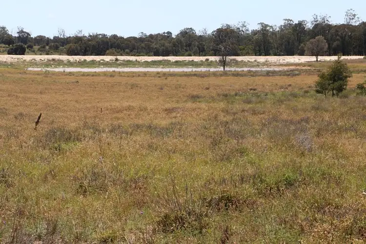 Seventh view of Homely rural property listing, 0 WESTGRIFF, Jackson QLD 4426