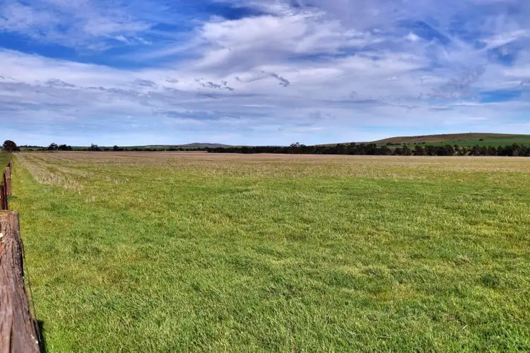 Seventh view of Homely rural property listing, 2 Lots, Wilkins Highway, Gladstone SA 5473