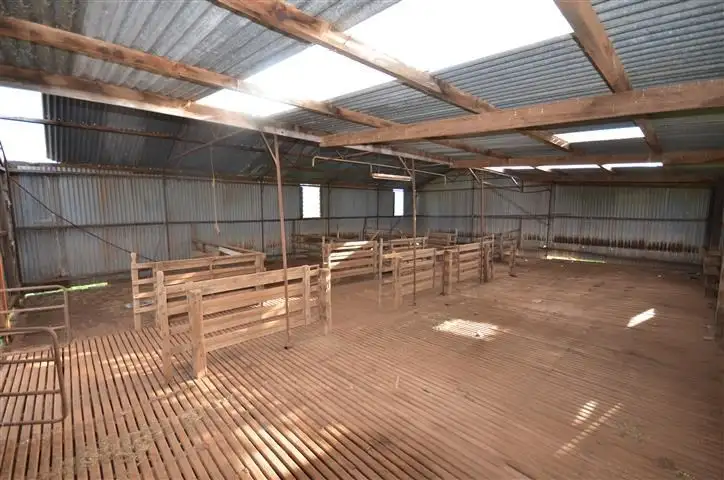 Fifth view of Homely rural property listing, "Oak Brae" 1197 Petherton Road, Booborowie SA 5417