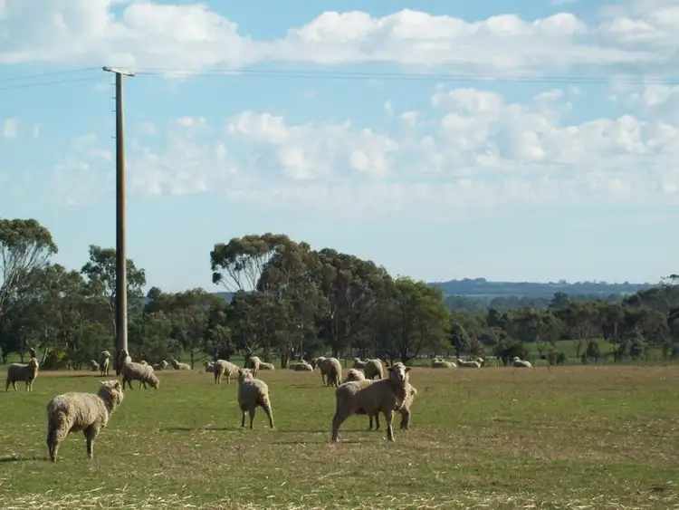 Second view of Homely land listing, 000 Thompsons Road, Tarrington VIC 3301