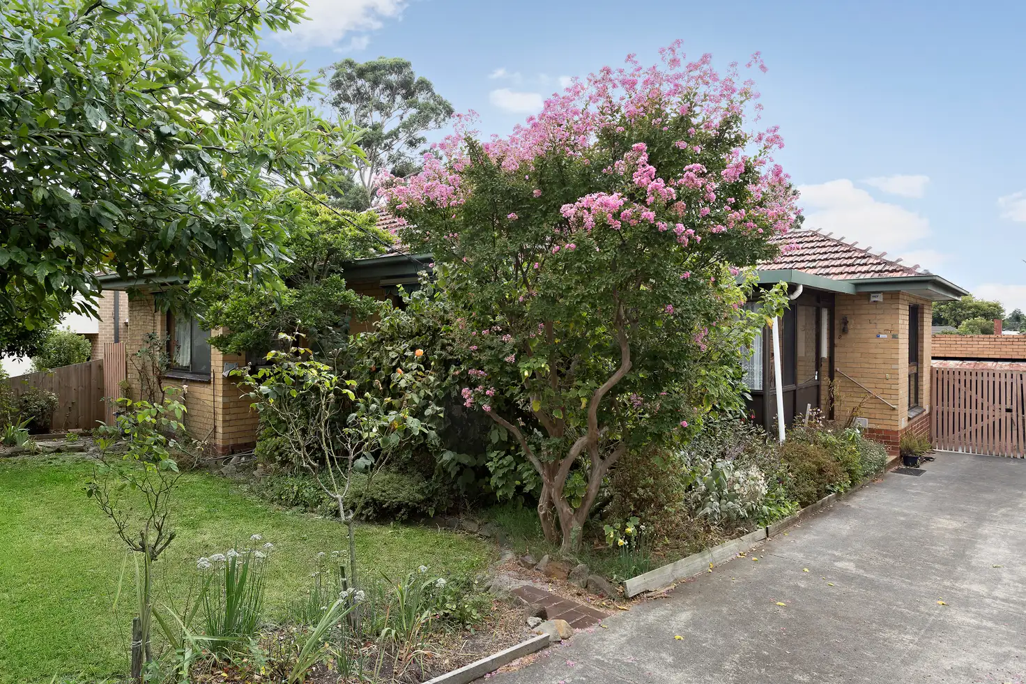 Main view of Homely house listing, 36 View Street, Clayton VIC 3168