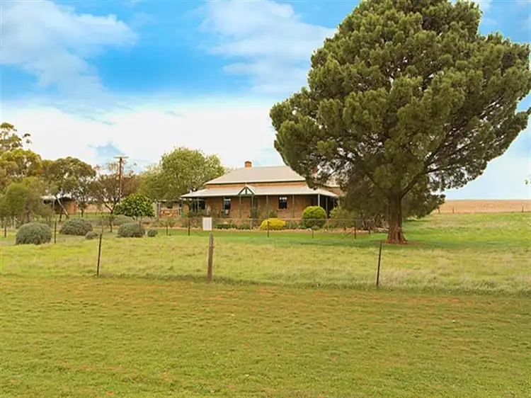 Main view of Homely house listing, 164 Schulz Road, Riverton SA 5412