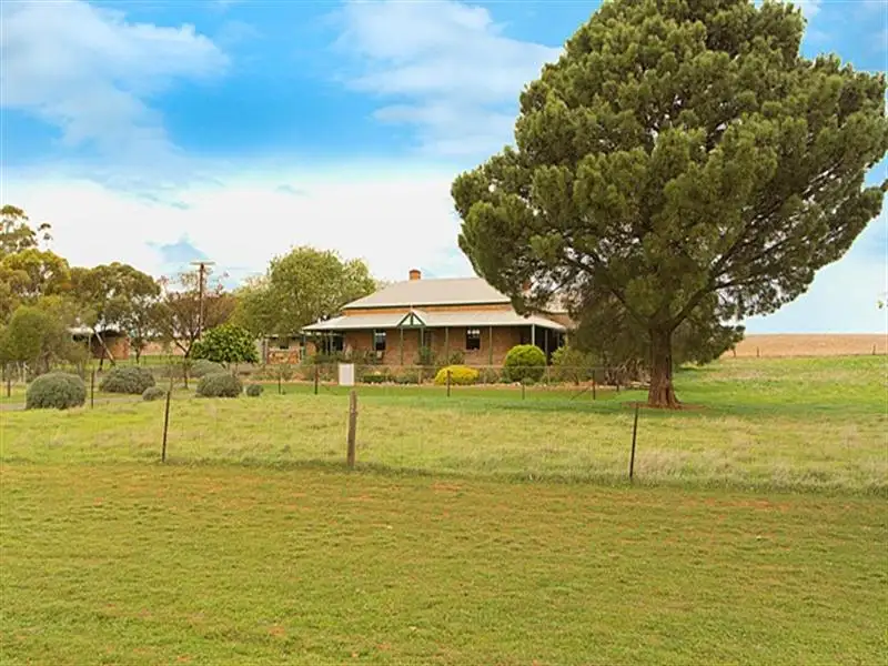 Main view of Homely house listing, 164 Schulz Road, Riverton SA 5412