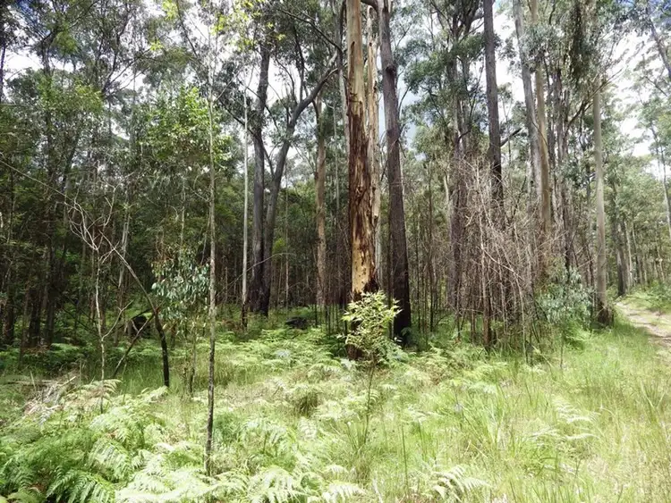 Seventh view of Homely rural property listing, 1038 Ellis Road, Clouds Creek NSW 2453