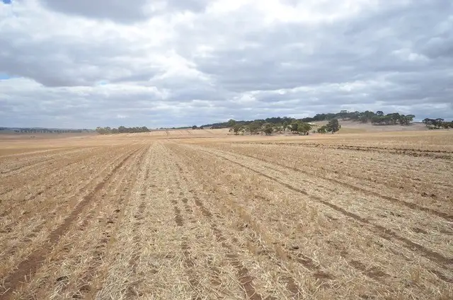 Main view of Homely rural property listing, "NJ's" Tarnma Road, Marrabel SA 5413