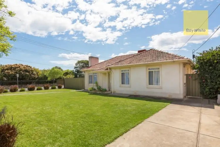 77 Castle Street, South Plympton SA 5038