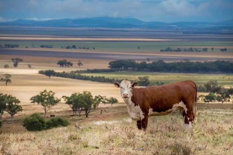 Main view of Homely rural property listing, " Barrington Park", Quirindi NSW 2343