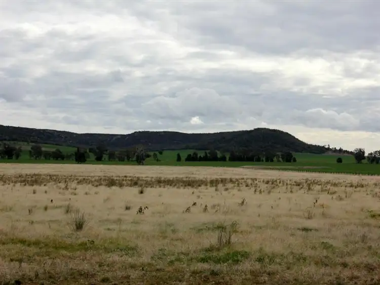 Second view of Homely rural property listing, 1141 Morangarell Road, Temora NSW 2666