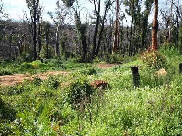 Third view of Homely land listing, 44 Matthews Way, Stoneville WA 6081