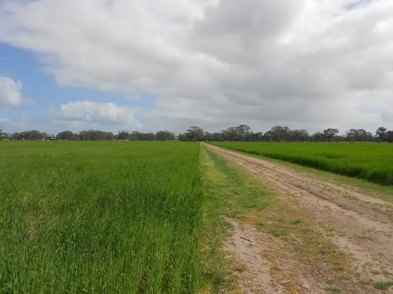 Main view of Homely land listing, Lot 101 Finlayson Road, Bordertown SA 5268