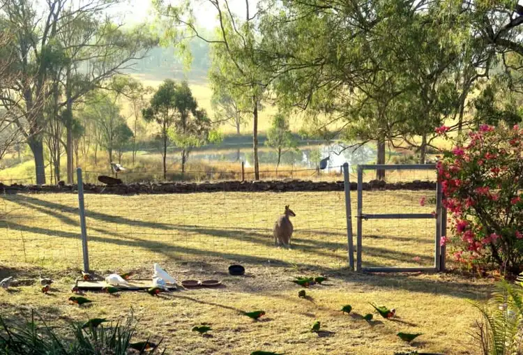 Second view of Homely rural property listing, 205 Bunjurgen Road, Bunjurgen QLD 4310