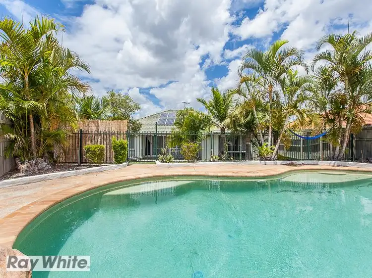 36 Kirri Avenue, Petrie QLD 4502