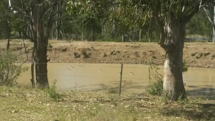 Sixth view of Homely rural property listing, L2 New England Highway, Thornville QLD 4352