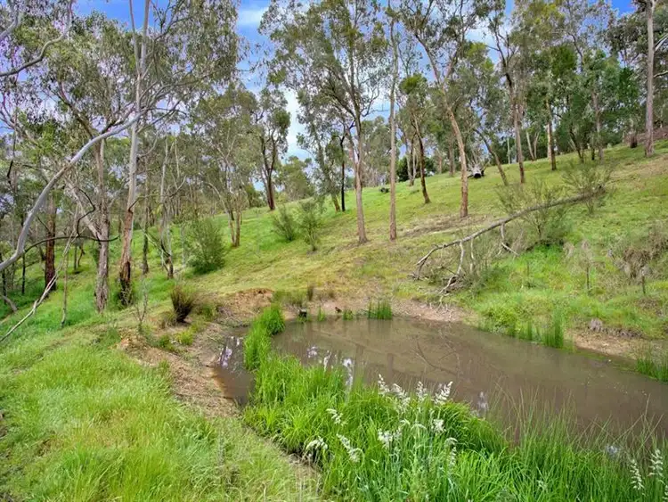 Seventh view of Homely house listing, 94 McLaughlans Lane, Greensborough VIC 3090