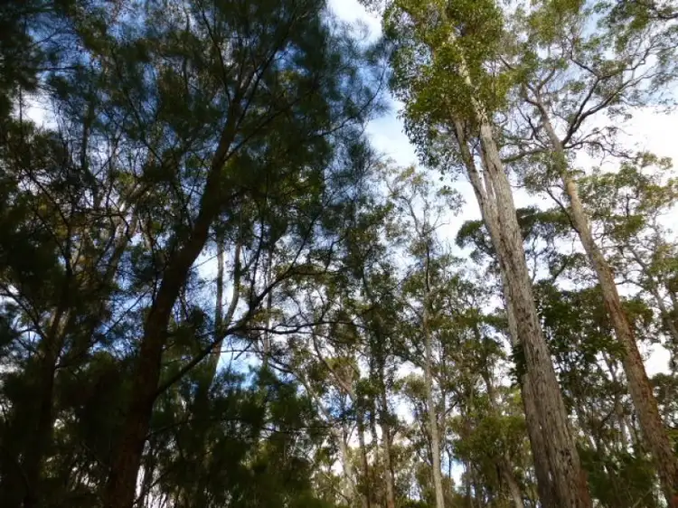 Second view of Homely land listing, 34 Boobook Close, Denmark WA 6333