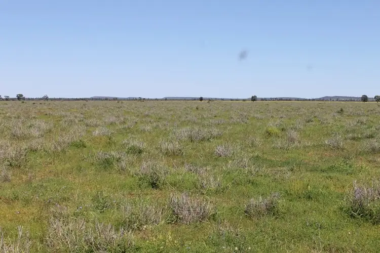 Third view of Homely rural property listing, 0 LAPGATE Road, Westmar QLD 4422