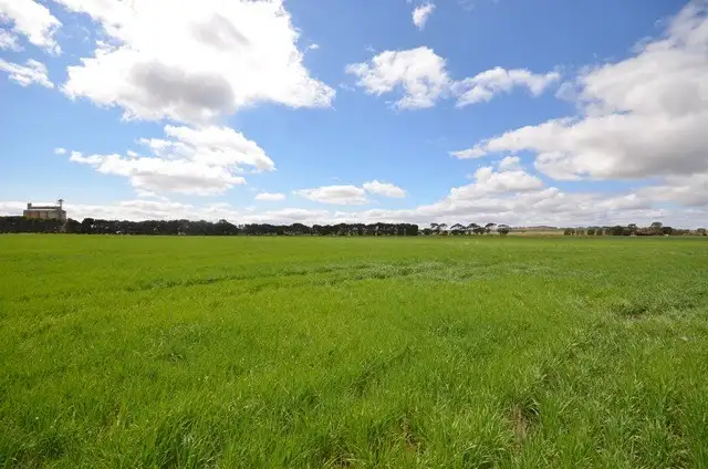 Sixth view of Homely rural property listing, Ma's and Lagoon Main Road, Robertstown SA 5381