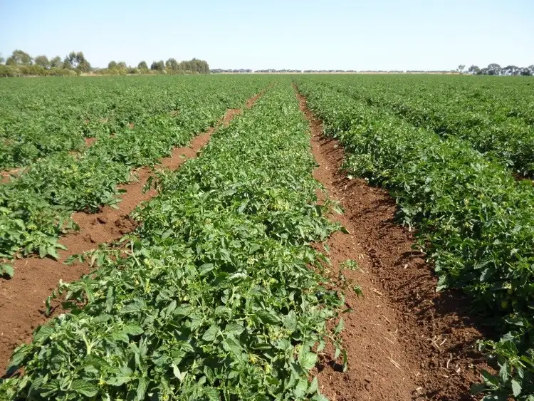 Third view of Homely rural property listing, 785 Cantwell Road, Echuca West VIC 3564