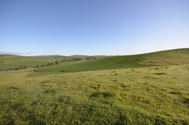 Second view of Homely rural property listing, "Ashleys" Patterson Road, Gulnare SA 5471