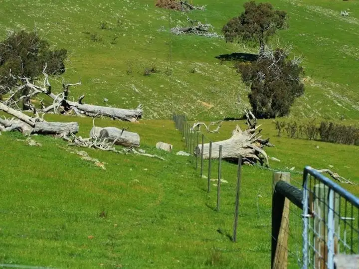 Fifth view of Homely rural property listing, Lots 1-6, 50 Loeman Road, Tooborac VIC 3522