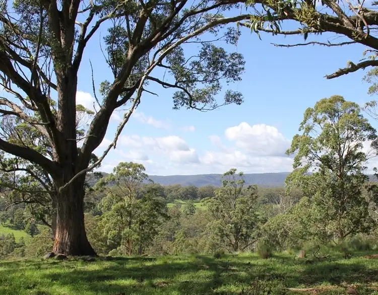 Second view of Homely rural property listing, Lot 162 Billirimba Road, Tenterfield NSW 2372