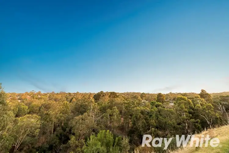 Seventh view of Homely house listing, 54 Allima Avenue, Yallambie VIC 3085