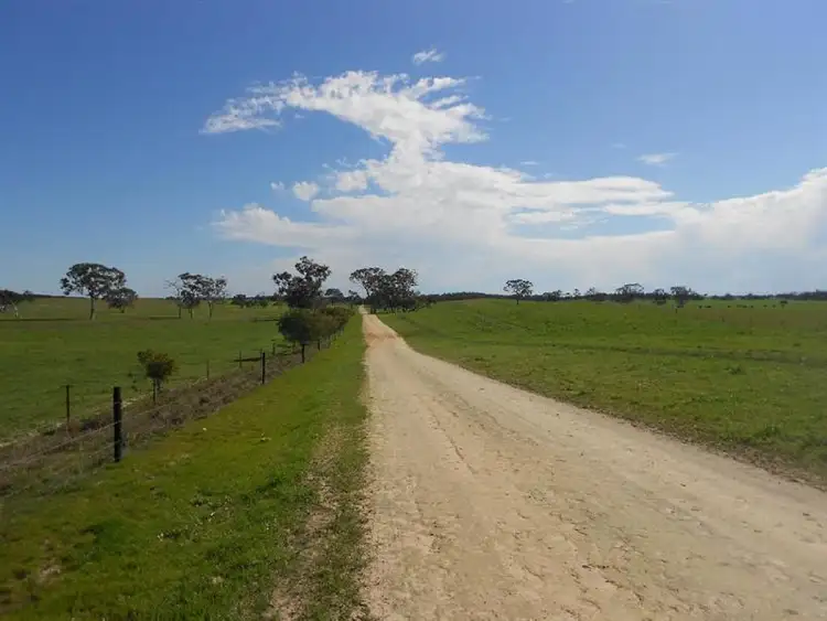 Fourth view of Homely rural property listing, 2134 Naracoorte Road, Bordertown SA 5268