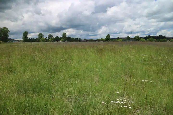 Fourth view of Homely rural property listing, 538A Grey, Glen Innes NSW 2370