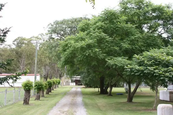 Third view of Homely rural property listing, 1040 Kerry Road, Kerry QLD 4285