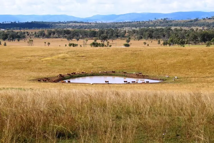 Fourth view of Homely rural property listing, Lot 218 Morden Road, Biarra QLD 4313