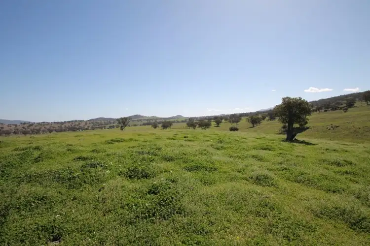 Second view of Homely rural property listing, 264 Black Gully Road, Werris Creek NSW 2341