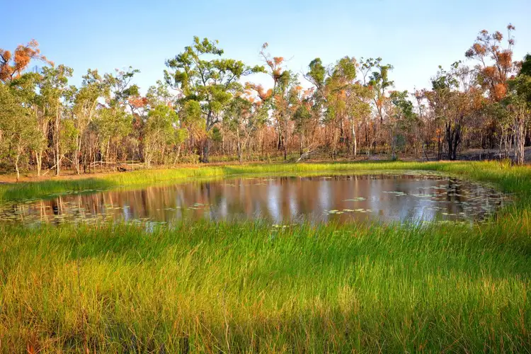 Fourth view of Homely rural property listing, 117 Ingrey Road, Bungundarra QLD 4703