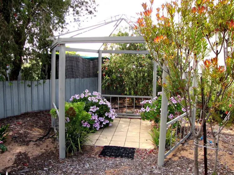 Sixth view of Homely house listing, 151 Bookpurnong Terrace, Loxton SA 5333