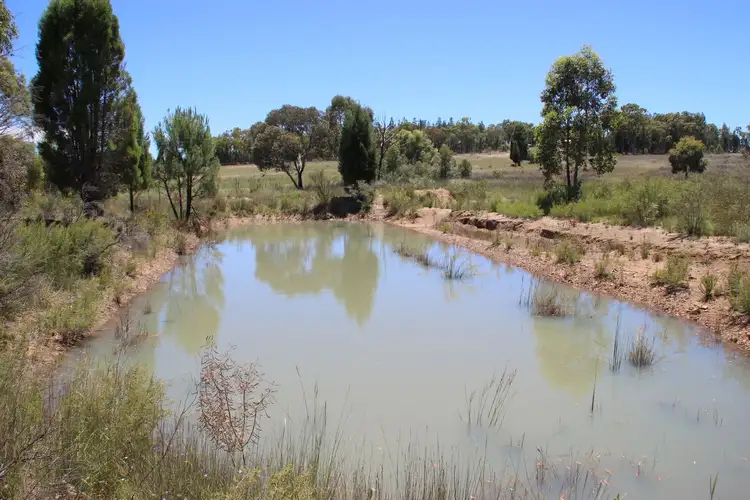 Fourth view of Homely rural property listing, 93 EAGLEVIEW Road, Coonabarabran NSW 2357
