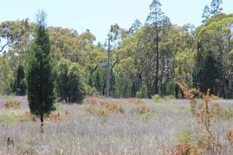Fifth view of Homely rural property listing, 93 EAGLEVIEW Road, Coonabarabran NSW 2357
