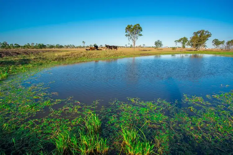 Fourth view of Homely rural property listing, 89 Boys Road, Alton Downs QLD 4702