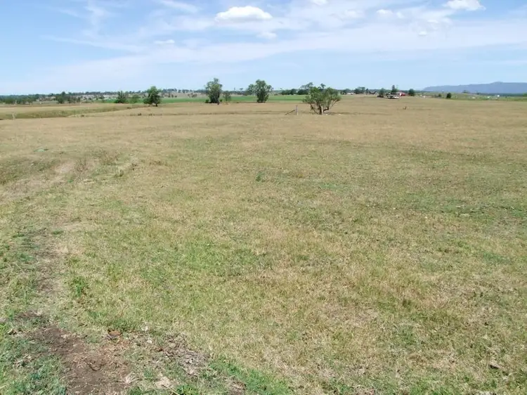 Fifth view of Homely rural property listing, 3910 New England Highway, Singleton NSW 2330
