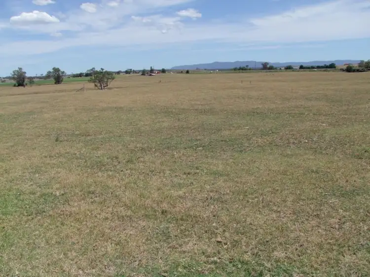Seventh view of Homely rural property listing, 3910 New England Highway, Singleton NSW 2330