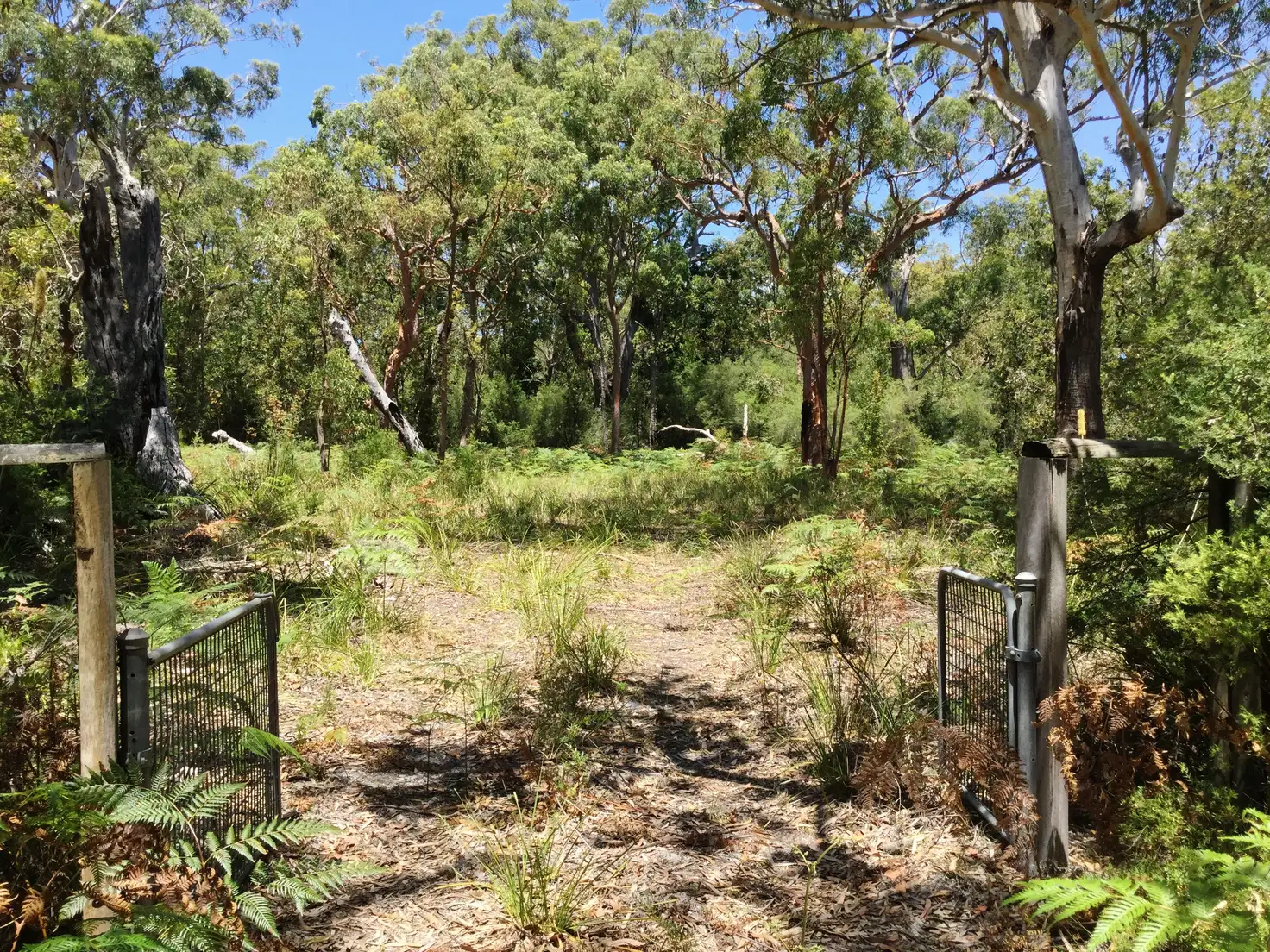 Main view of Homely rural property listing, Lot 17 Nardoo Street, Pindimar NSW 2324