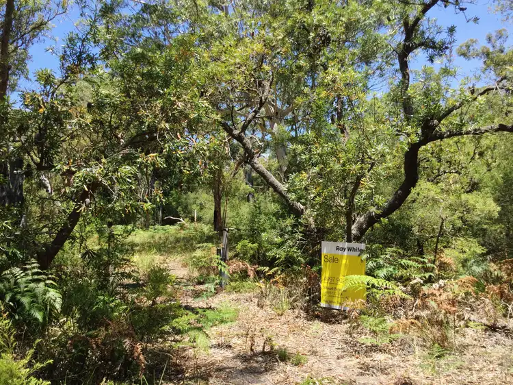 Second view of Homely rural property listing, Lot 17 Nardoo Street, Pindimar NSW 2324